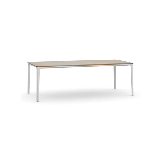 PLATE DINNING TABLE