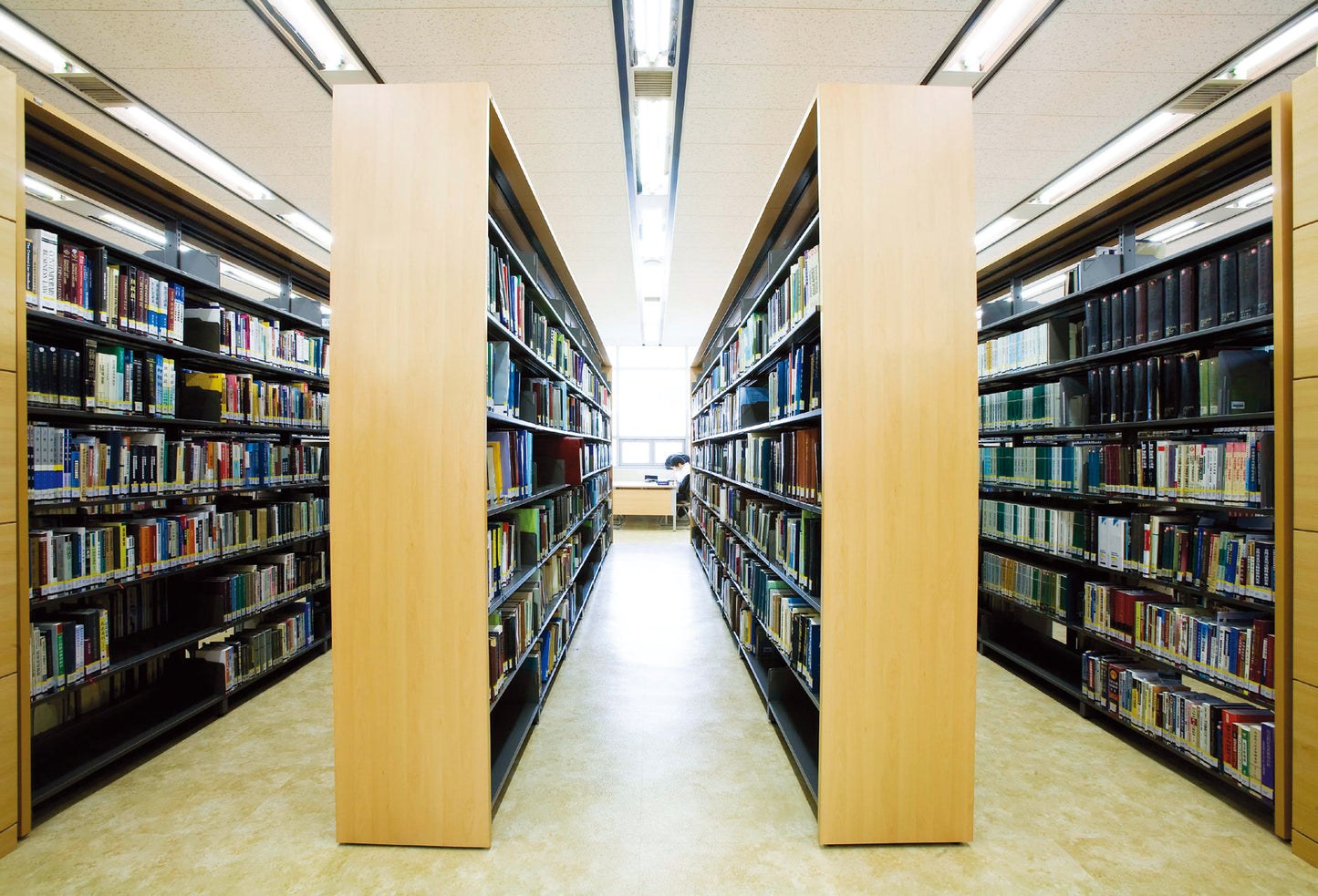 PLAIN BOOKSHELVES